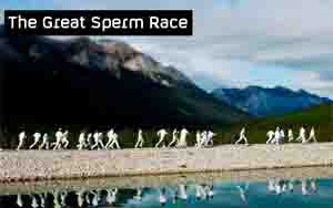 spermrace