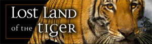tigerlogo